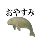 海の生物の日常言葉（個別スタンプ：25）