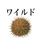 海の生物の日常言葉（個別スタンプ：27）