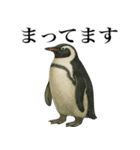 海の生物の日常言葉（個別スタンプ：28）