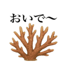 海の生物の日常言葉（個別スタンプ：29）