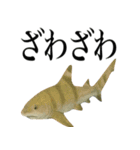 海の生物の日常言葉（個別スタンプ：30）