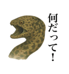 海の生物の日常言葉（個別スタンプ：35）