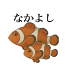 海の生物の日常言葉（個別スタンプ：37）