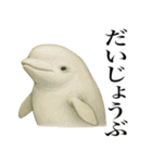 海の生物の日常言葉（個別スタンプ：38）