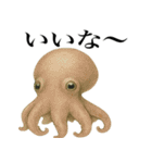 海の生物の日常言葉（個別スタンプ：39）