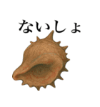海の生物の日常言葉（個別スタンプ：40）