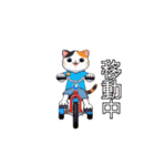 動く！ドット絵にゃんこ（個別スタンプ：5）