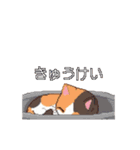 動く！ドット絵にゃんこ（個別スタンプ：7）