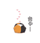 動く！ドット絵にゃんこ（個別スタンプ：9）