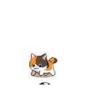 動く！ドット絵にゃんこ（個別スタンプ：20）
