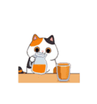 動く！ドット絵にゃんこ（個別スタンプ：21）