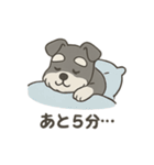 ゆる〜いシュナの日常スタンプ（個別スタンプ：1）