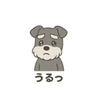 ゆる〜いシュナの日常スタンプ（個別スタンプ：2）