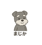 ゆる〜いシュナの日常スタンプ（個別スタンプ：3）