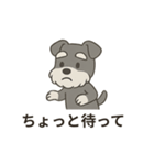 ゆる〜いシュナの日常スタンプ（個別スタンプ：5）