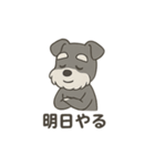 ゆる〜いシュナの日常スタンプ（個別スタンプ：6）
