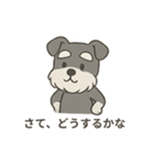 ゆる〜いシュナの日常スタンプ（個別スタンプ：12）