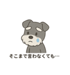ゆる〜いシュナの日常スタンプ（個別スタンプ：15）