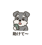 ゆる〜いシュナの日常スタンプ（個別スタンプ：18）