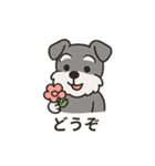 ゆる〜いシュナの日常スタンプ（個別スタンプ：19）