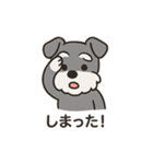 ゆる〜いシュナの日常スタンプ（個別スタンプ：20）