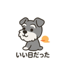 ゆる〜いシュナの日常スタンプ（個別スタンプ：21）