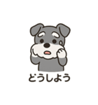 ゆる〜いシュナの日常スタンプ（個別スタンプ：24）