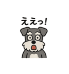 ゆる〜いシュナの日常スタンプ（個別スタンプ：27）