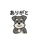 ゆる〜いシュナの日常スタンプ（個別スタンプ：28）