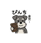 ゆる〜いシュナの日常スタンプ（個別スタンプ：29）