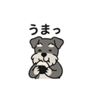 ゆる〜いシュナの日常スタンプ（個別スタンプ：31）