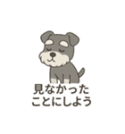 ゆる〜いシュナの日常スタンプ（個別スタンプ：34）