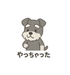 ゆる〜いシュナの日常スタンプ（個別スタンプ：36）