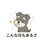 ゆる〜いシュナの日常スタンプ（個別スタンプ：38）