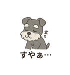 ゆる〜いシュナの日常スタンプ（個別スタンプ：39）
