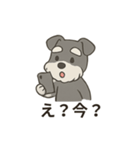 ゆる〜いシュナの日常スタンプ（個別スタンプ：40）