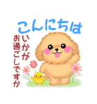 トイプードルの優しい言葉「秋・冬」（個別スタンプ：3）