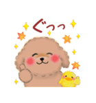 トイプードルの優しい言葉「秋・冬」（個別スタンプ：8）