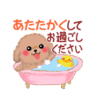 トイプードルの優しい言葉「秋・冬」（個別スタンプ：13）