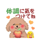 トイプードルの優しい言葉「秋・冬」（個別スタンプ：21）