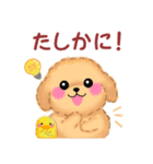 トイプードルの優しい言葉「秋・冬」（個別スタンプ：26）