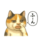 くちびる三毛猫（個別スタンプ：11）