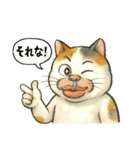 くちびる三毛猫（個別スタンプ：13）