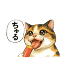 くちびる三毛猫（個別スタンプ：24）