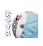 フグボール（個別スタンプ：2）