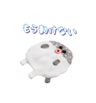 フグボール（個別スタンプ：19）