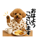 【秋冬】ずっと使えるトイプードル（個別スタンプ：1）