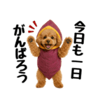 【秋冬】ずっと使えるトイプードル（個別スタンプ：2）