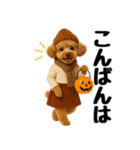 【秋冬】ずっと使えるトイプードル（個別スタンプ：4）