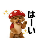 【秋冬】ずっと使えるトイプードル（個別スタンプ：5）